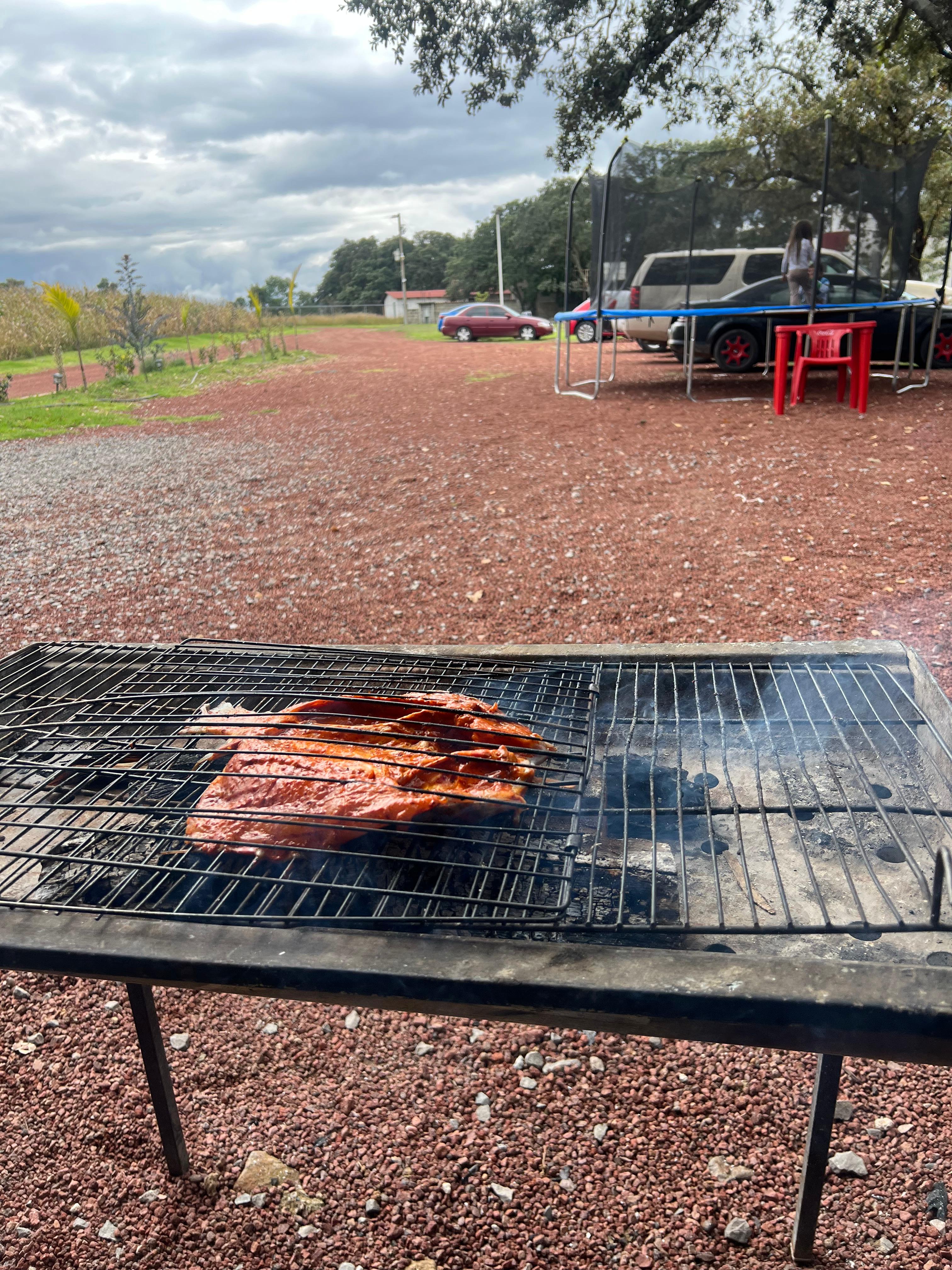 Restaurante Campestre con venta de mojarras