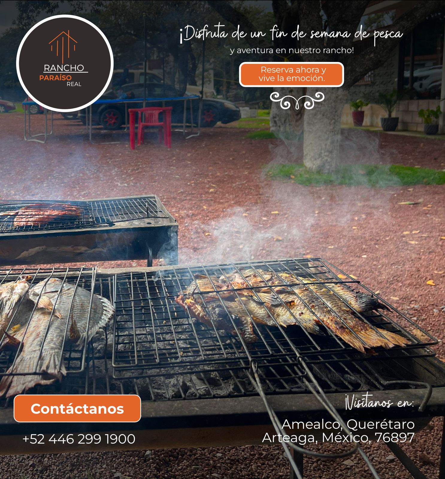 Venta de Mojarras Vivas