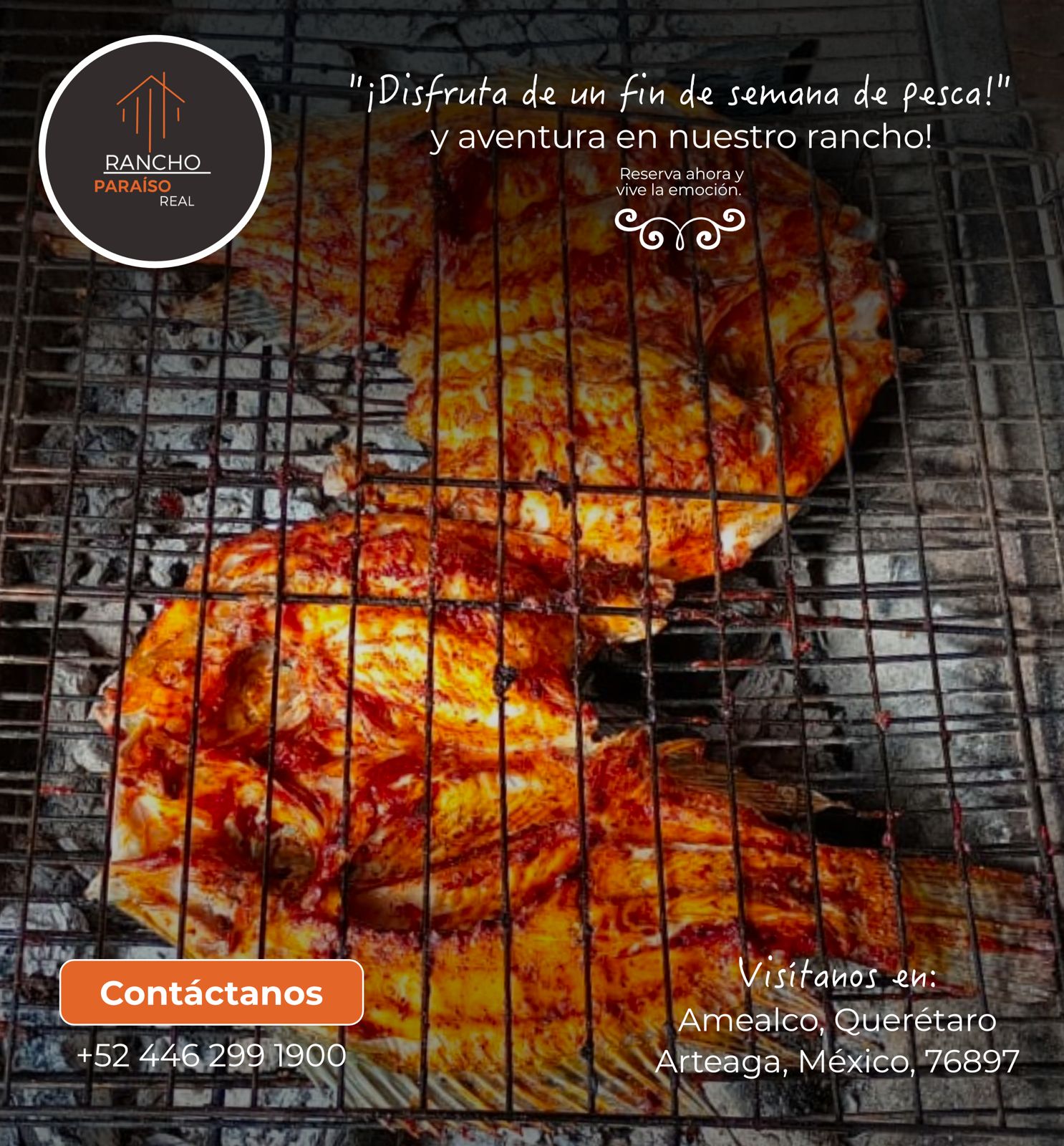Platillo de Tierra